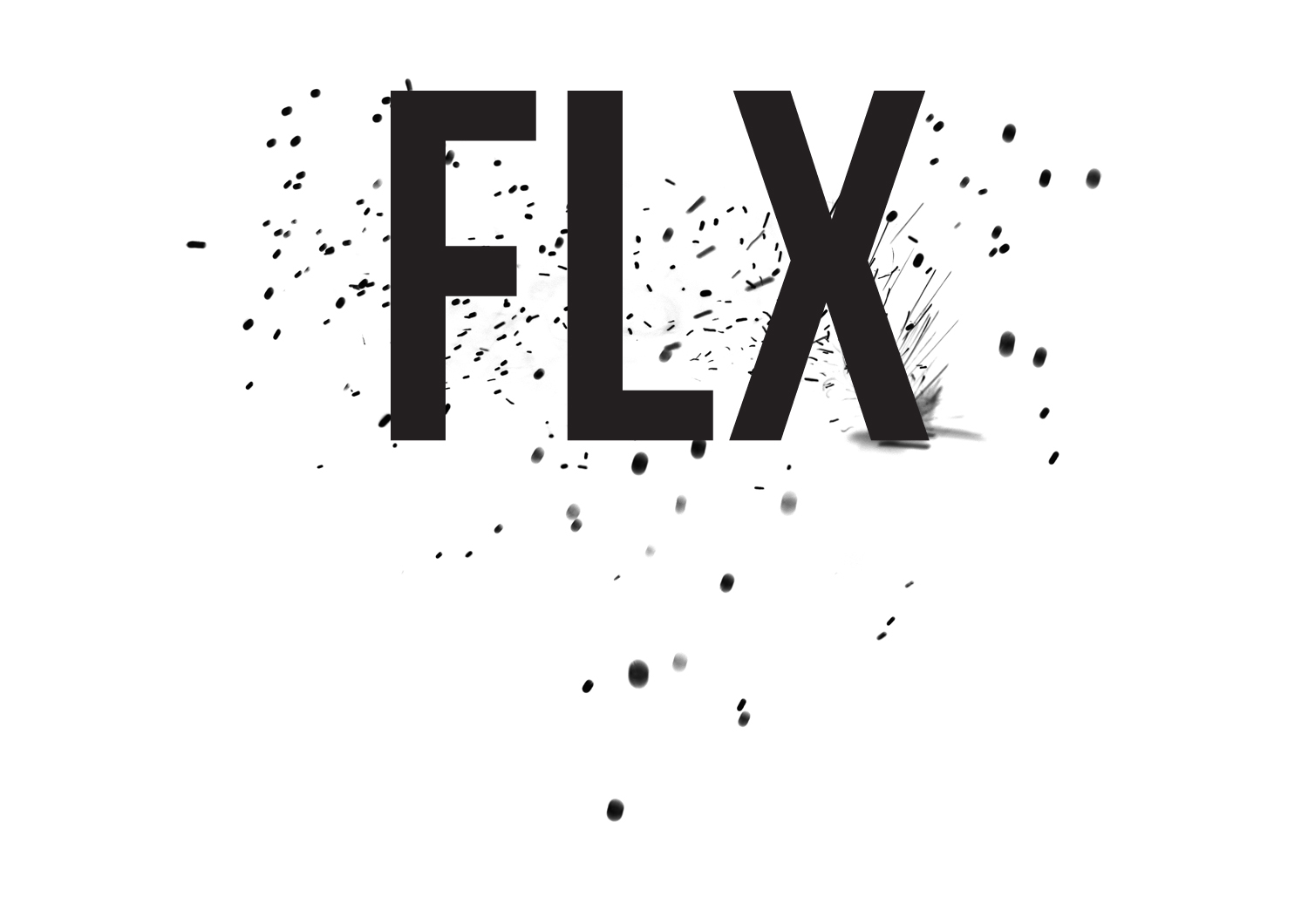 Logoflx ok 2